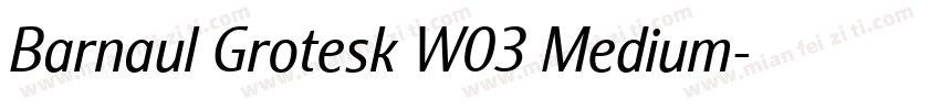 Barnaul Grotesk W03 Medium字体转换